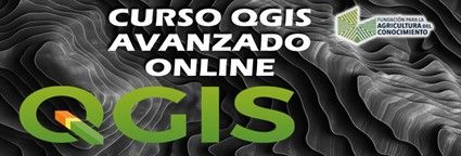  Curso QGIS Avanzado Online (del 5 al 26 de noviembre 2024)